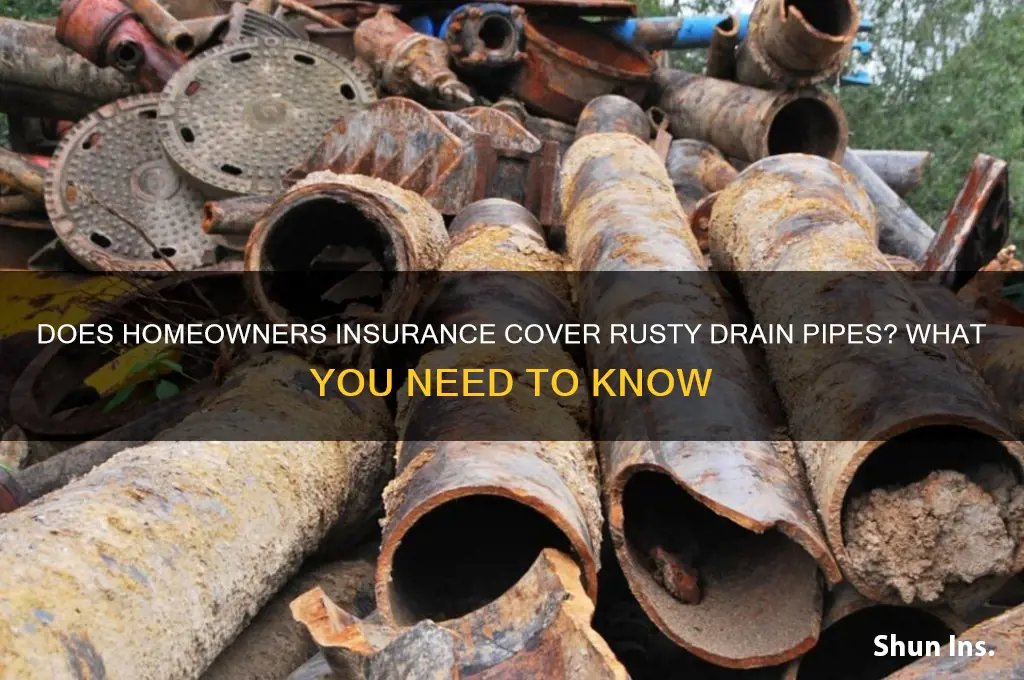 will the insurance company cover rusty drain pipes