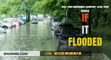 Flooded Car: Will Your Insurance Declare It a Total Loss?