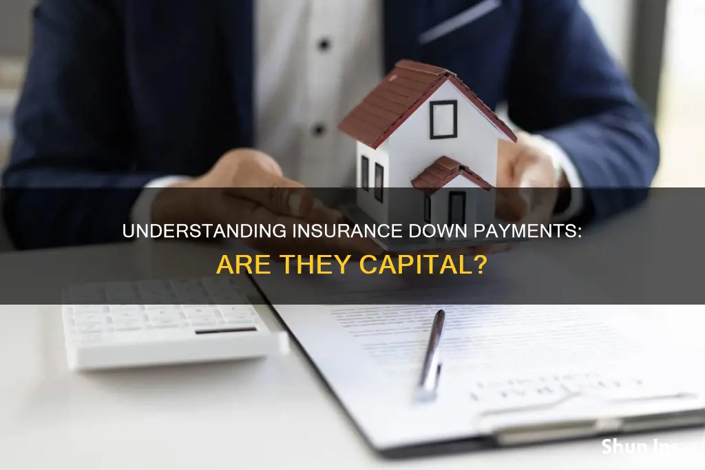 would an insurance down payment count as capital