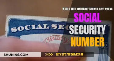 Auto Insurance and False Social Security Numbers