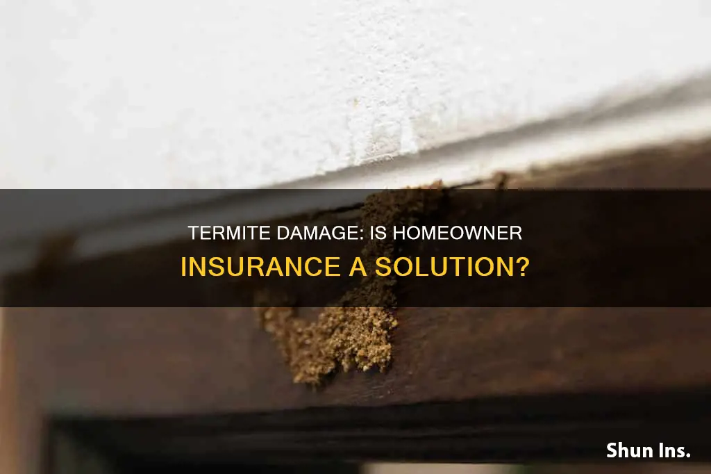would homeowner insurance cover termites if your house has termites