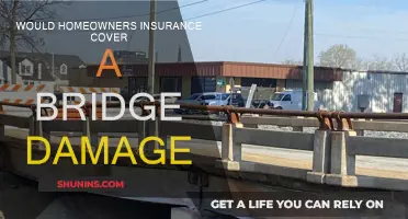 Homeowners Insurance: Does It Cover Bridge Damage?