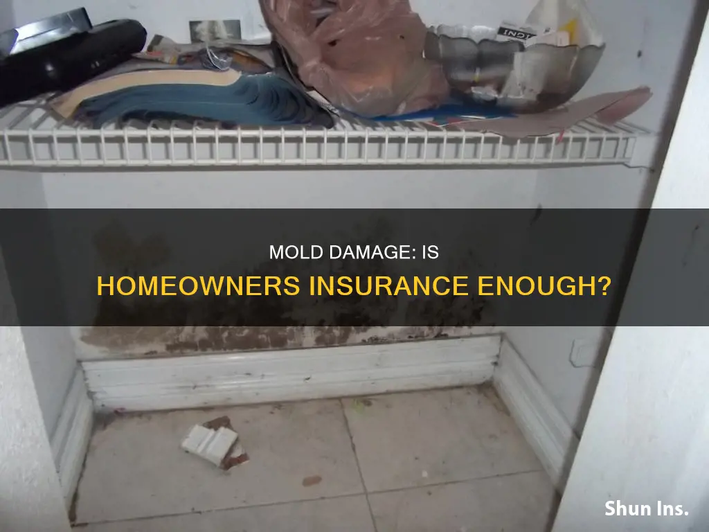 would homeowners insurance cover mold