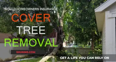 Homeowners Insurance: Tree Removal Covered?