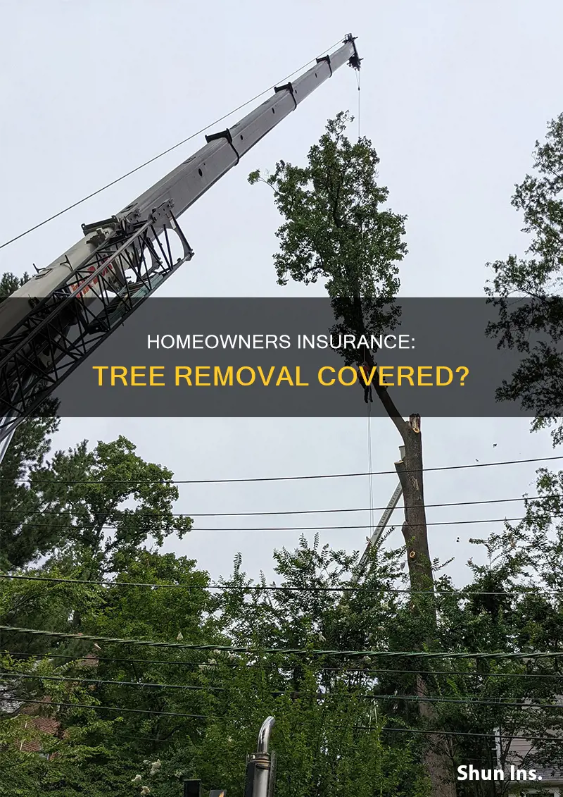 would homeowners insurance cover tree removal