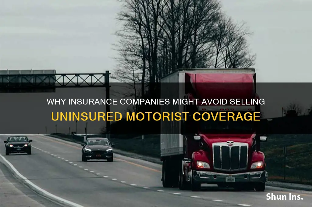 would insurance companies rather not sell you uninsured motorist insurance