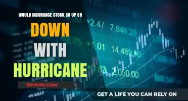 Insurance Stocks: Hurricane Impact and Market Movement