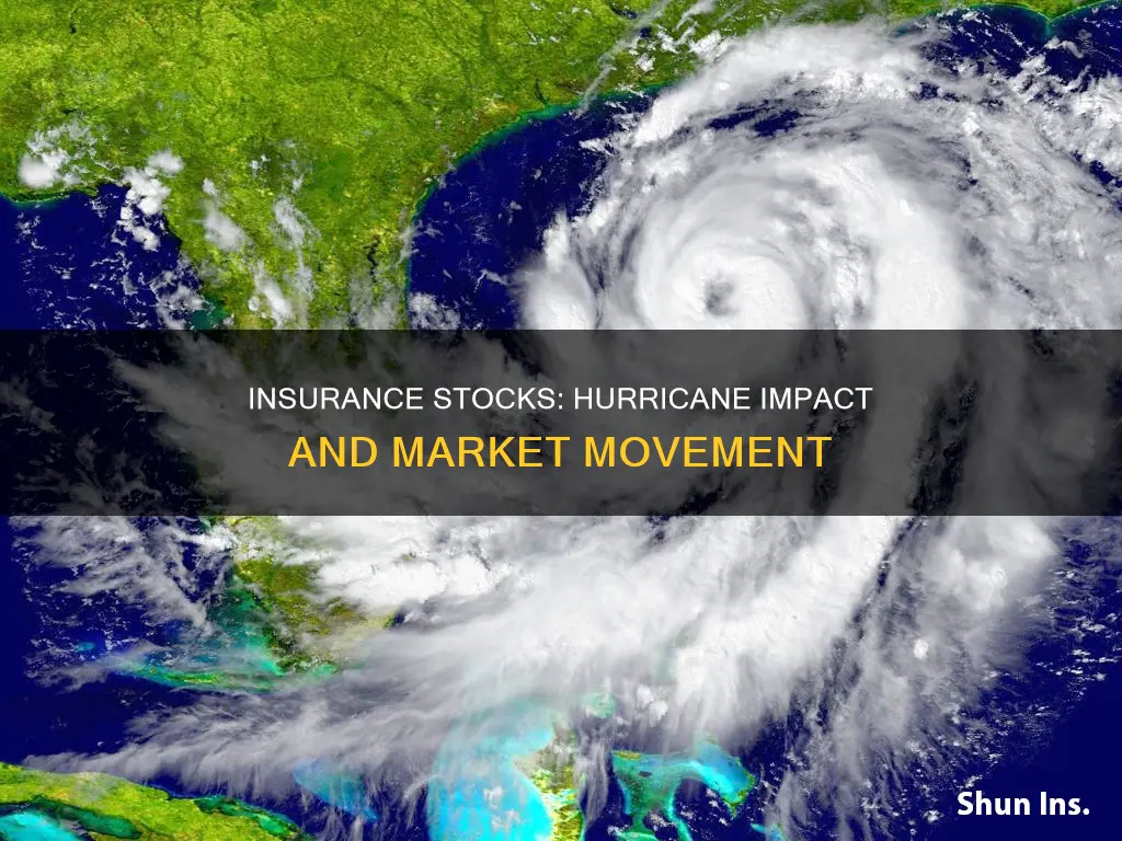 would insurance stock go up or down with hurricane