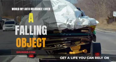 Auto Insurance and Falling Objects: What's Covered?