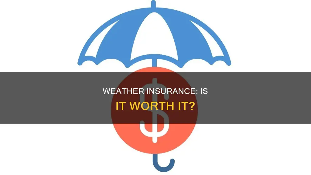 would you consider weather insurance